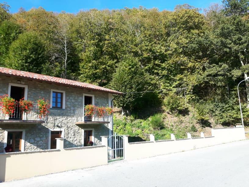 Affittacamere Da Morena Gorfigliano Exterior foto